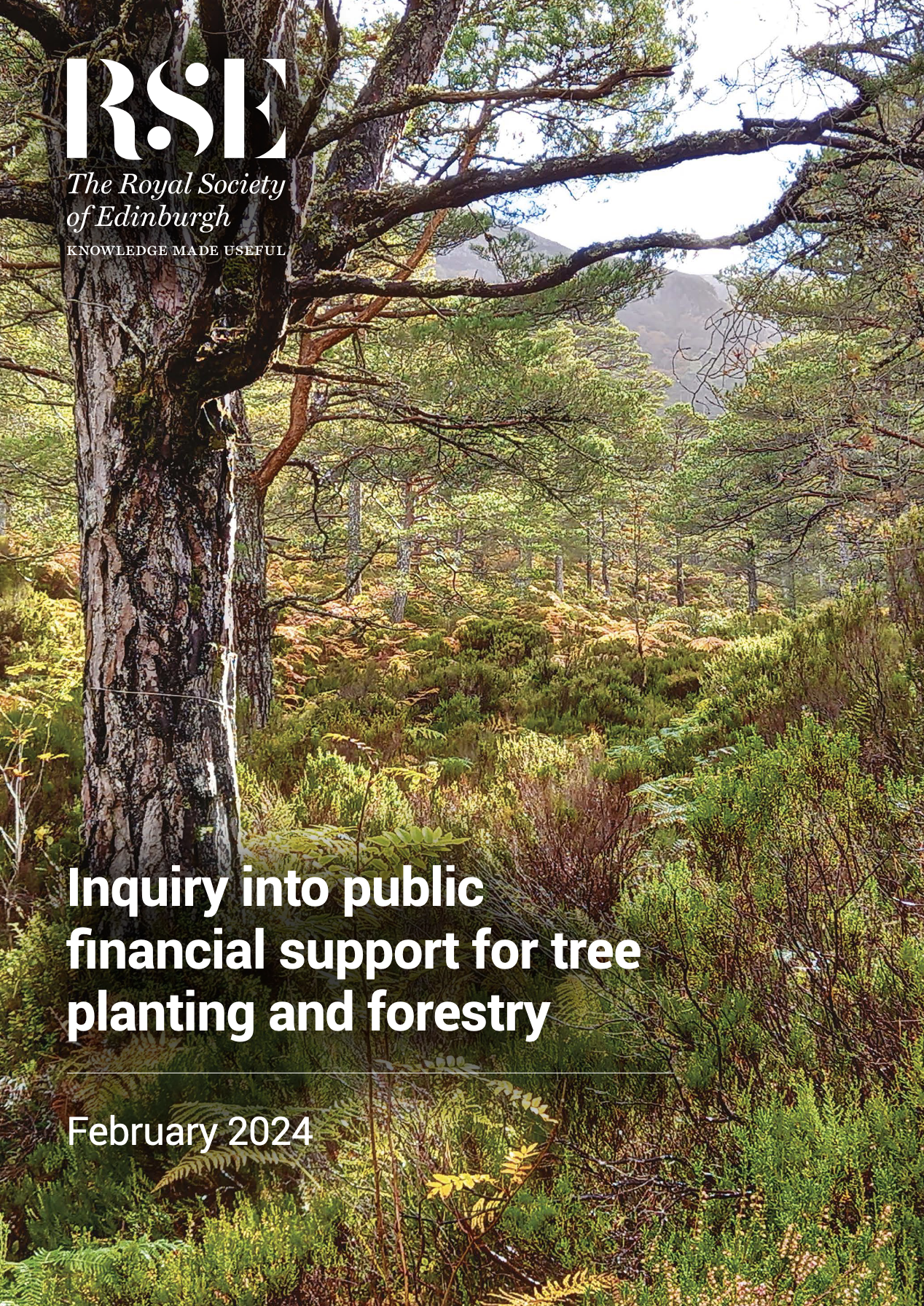 RSE Report cover