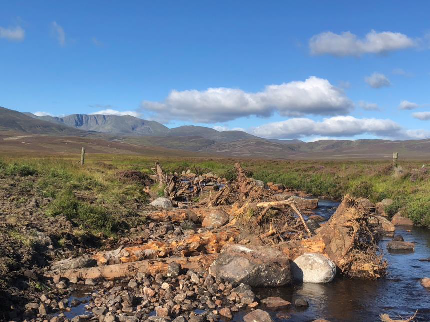 Large Woody Structures in the Girnock Burn, E of Lochnagar  Chris Soulsby CC BY-SA 2.0